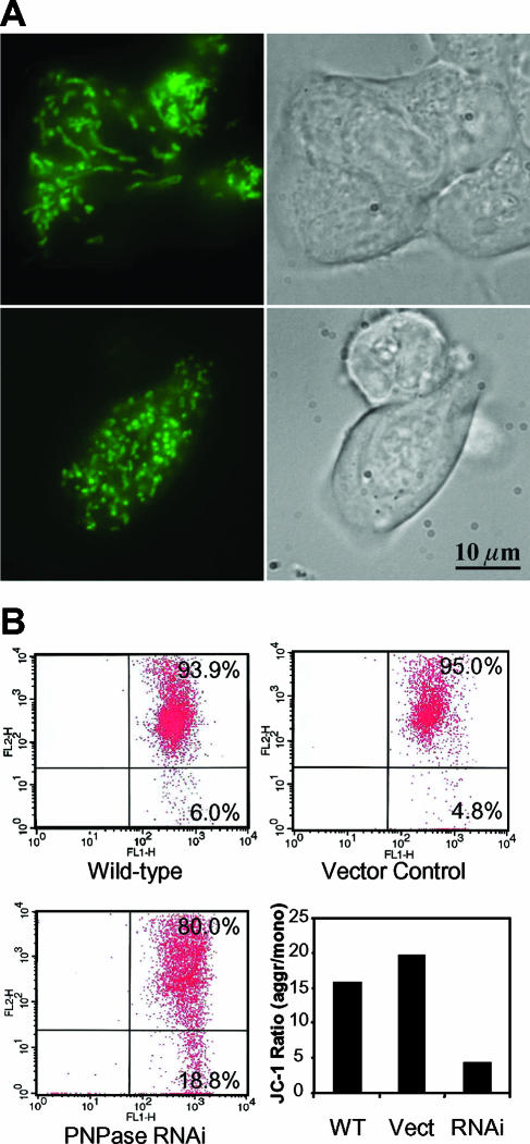 FIG. 7.