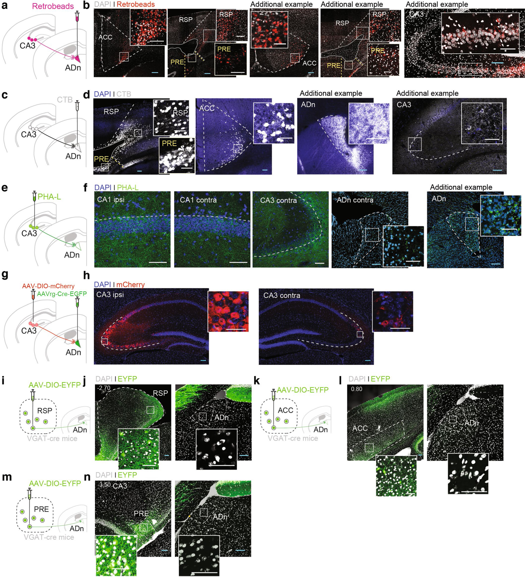 Extended Data Fig. 3 |