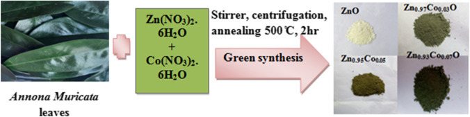 Fig. 1