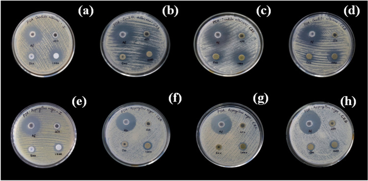 Fig. 10