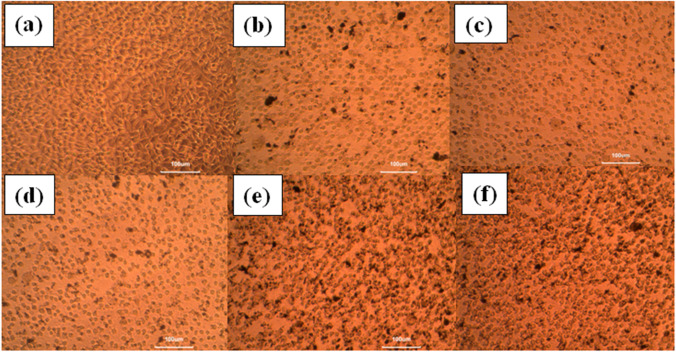 Fig. 13