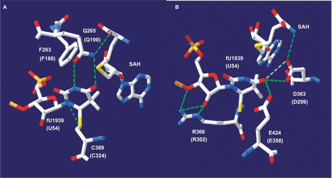 Figure 5.