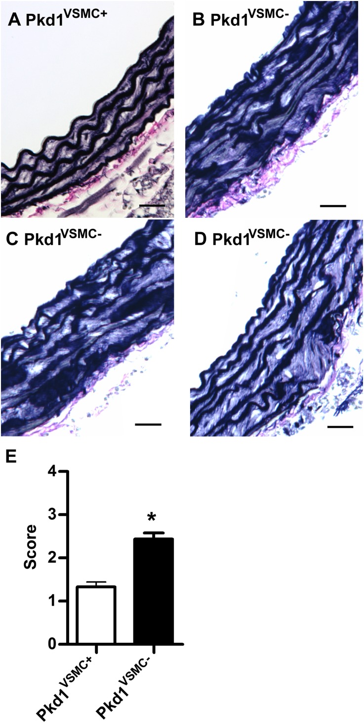 Figure 5.