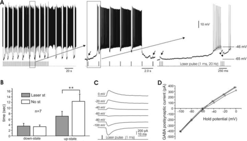 Fig. 9