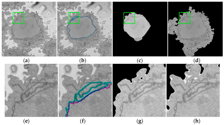 Figure 6