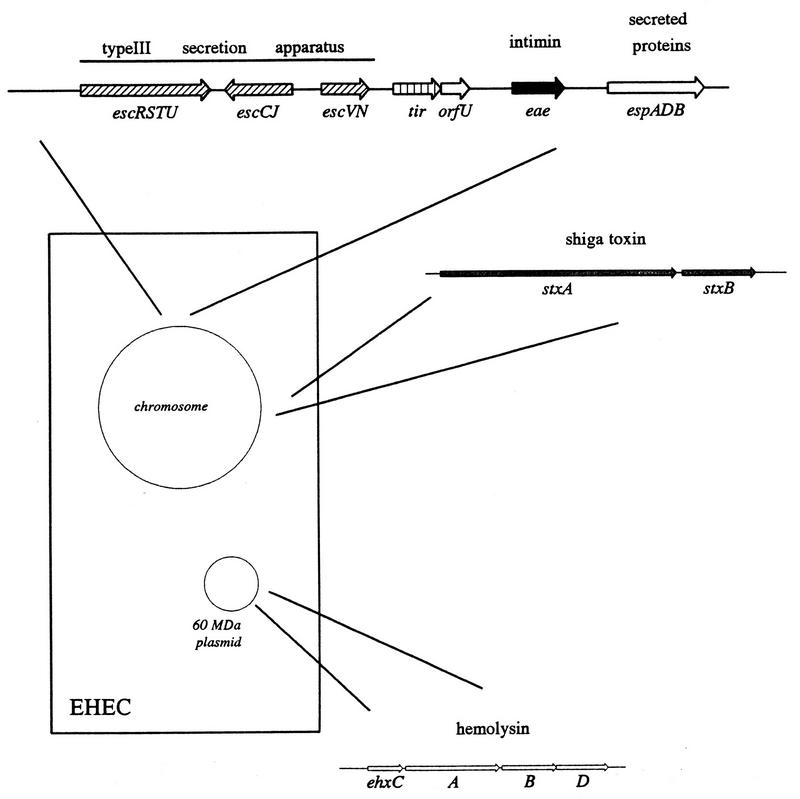 FIG. 9