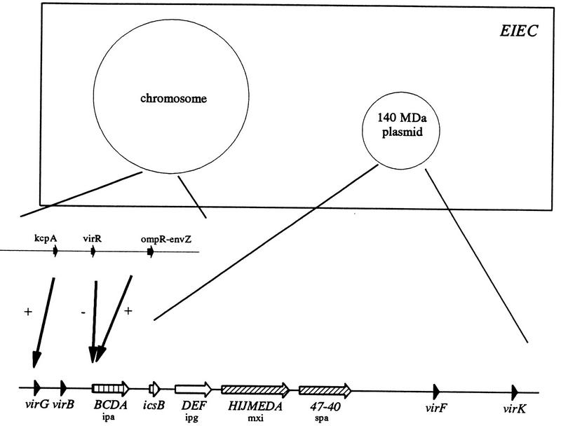 FIG. 13