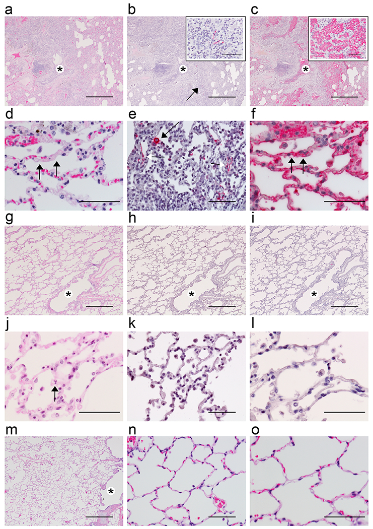 Fig. 3: