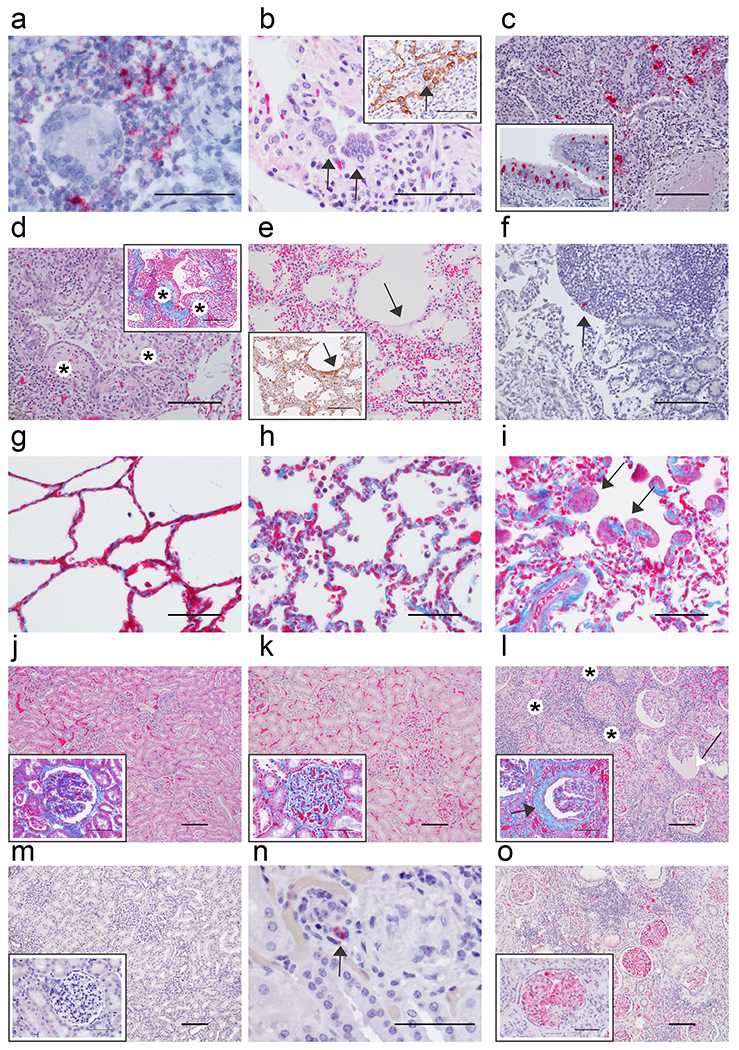 Fig. 4: