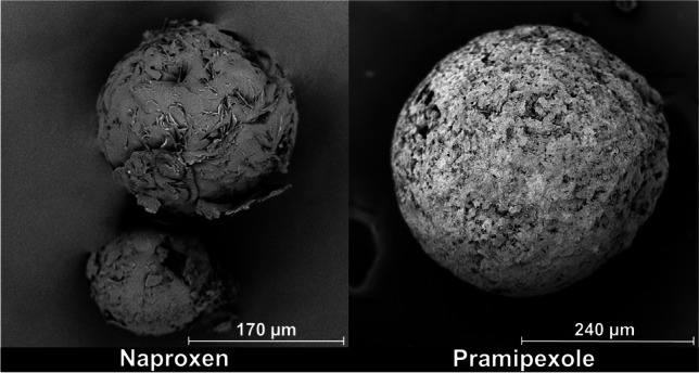 Fig. 12.