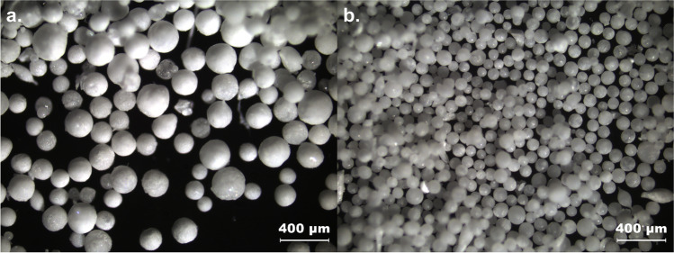 Fig. 10