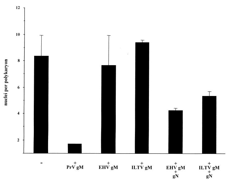 FIG. 6