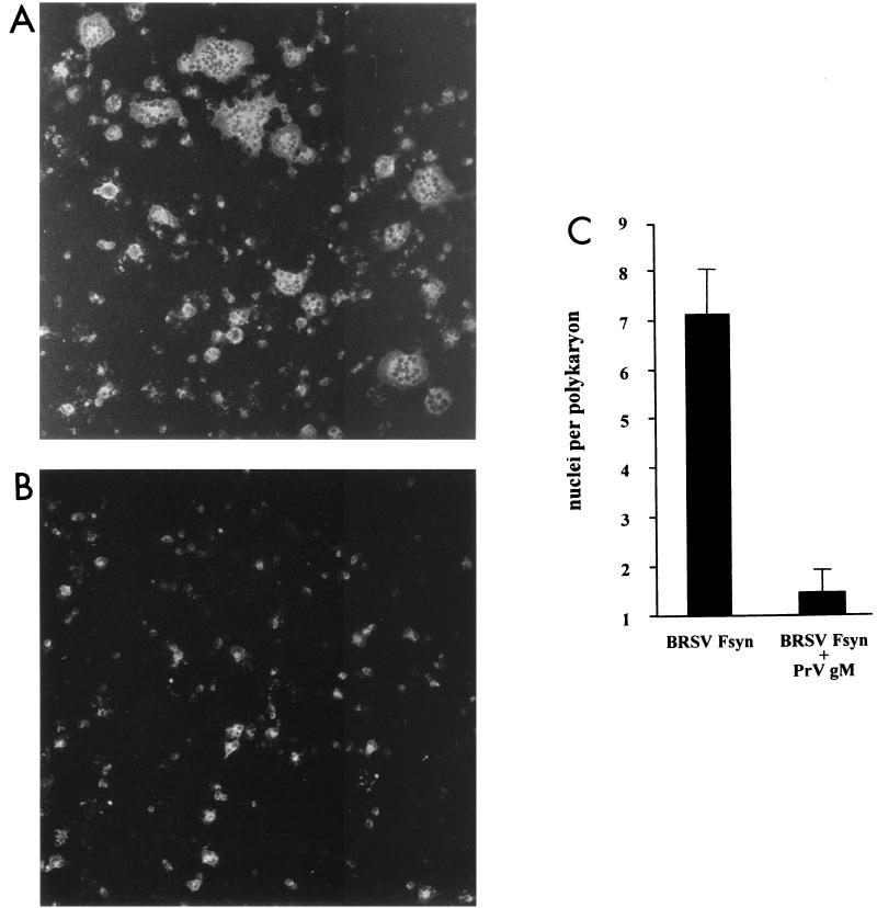 FIG. 7