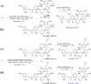 Scheme 10