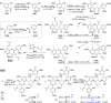 Scheme 12