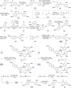 Scheme 2