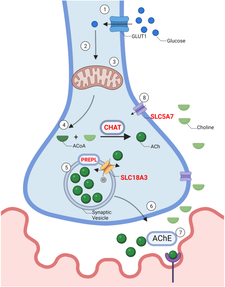 Fig. 2