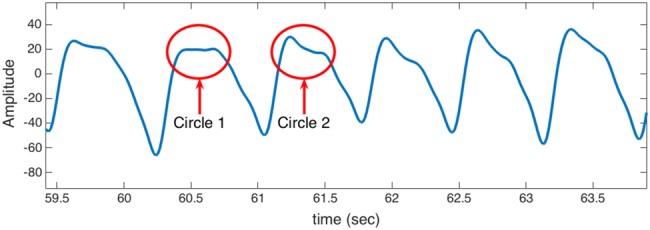 Fig. 8