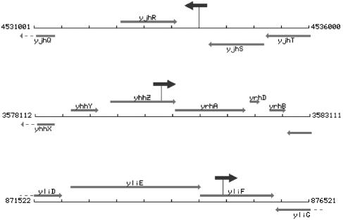 FIG. 9.