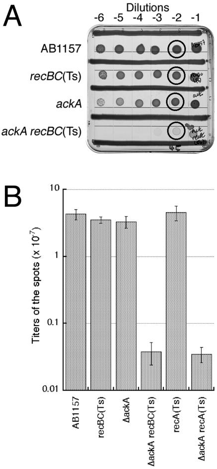 FIG. 7.