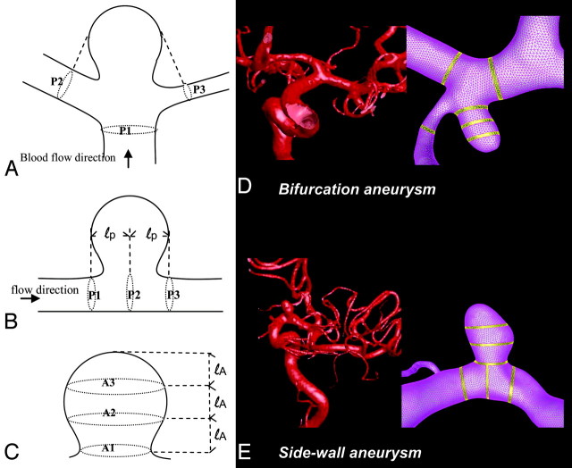 Fig 1.