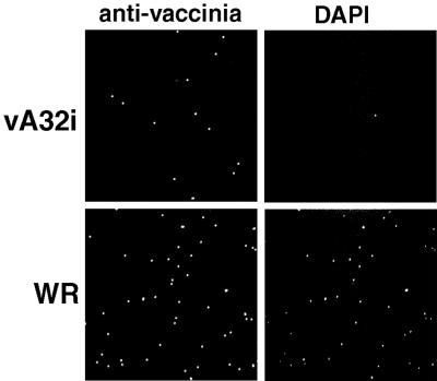 FIG. 11