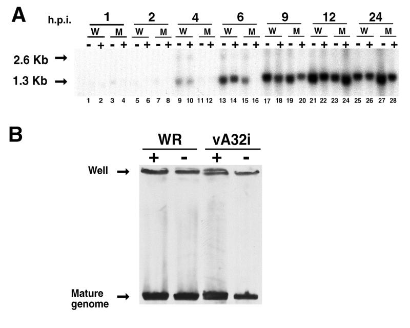 FIG. 6