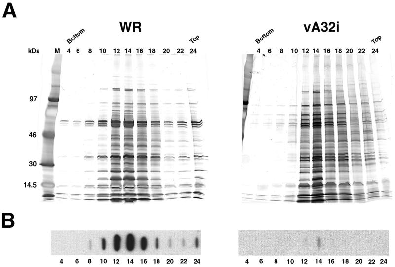 FIG. 10