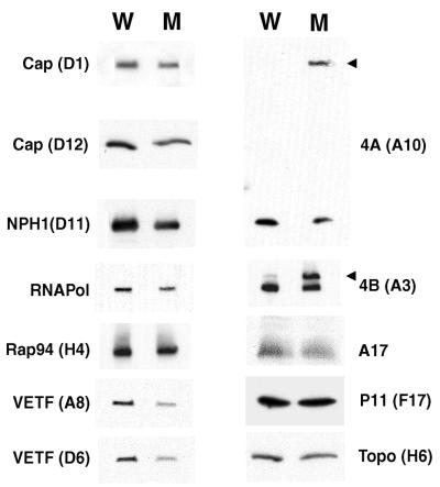 FIG. 12