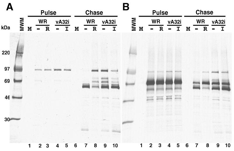 FIG. 5