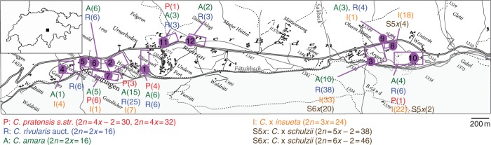 Fig. 1.