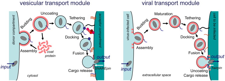 Fig. 2