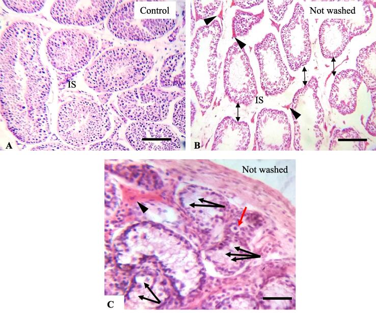 Fig. 5