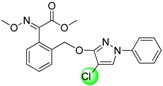 graphic file with name molecules-19-08140-i001.jpg