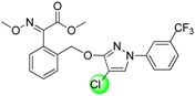 graphic file with name molecules-19-08140-i006.jpg