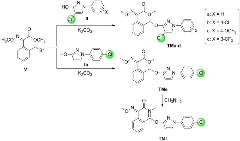 Scheme 3