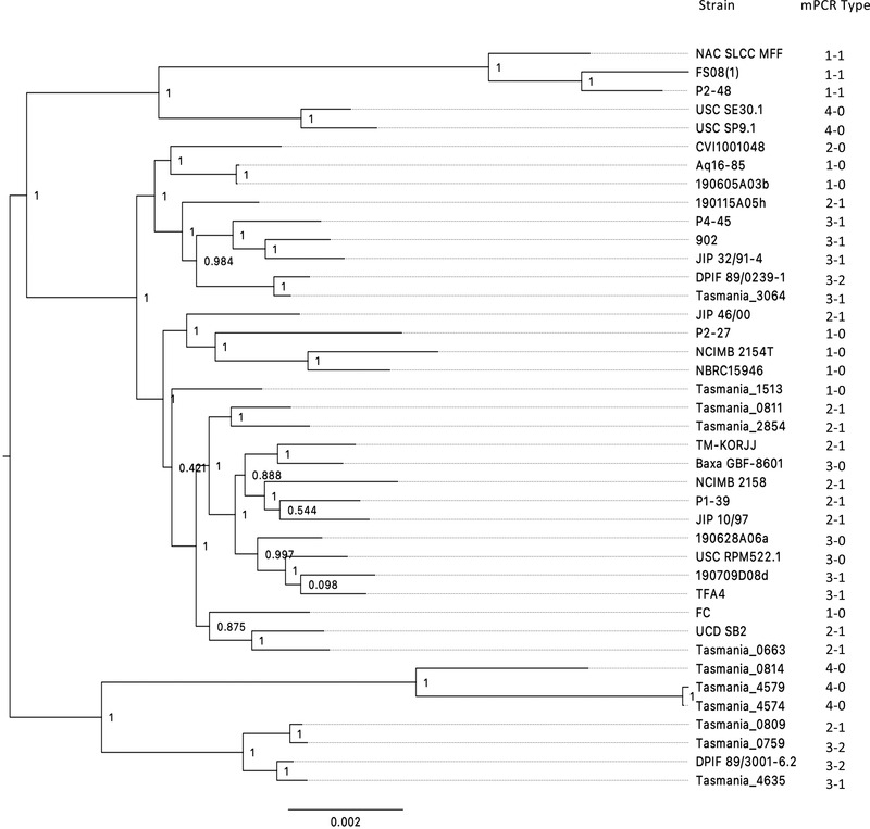 FIGURE 4