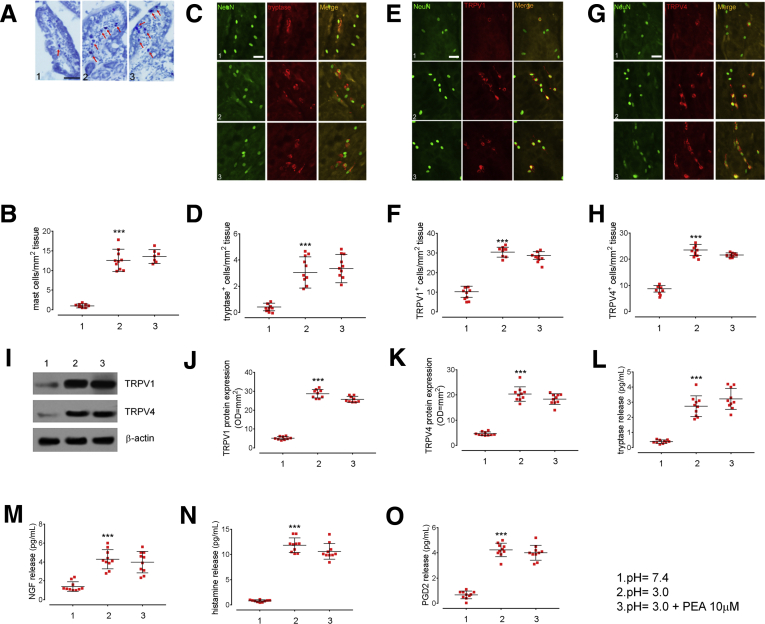 Figure 6