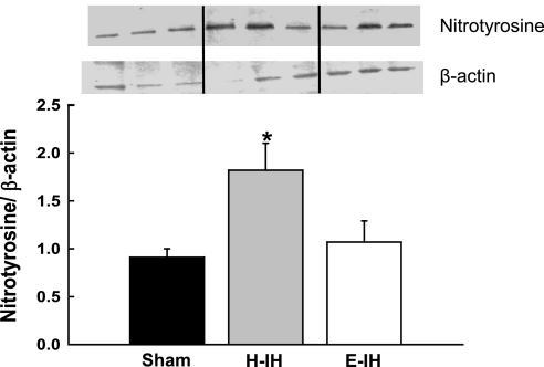 Fig. 9.