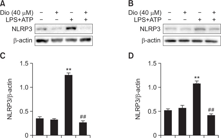 Fig. 9.