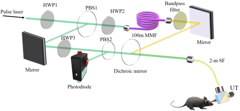 Fig. 1.