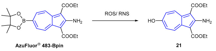 Scheme 4