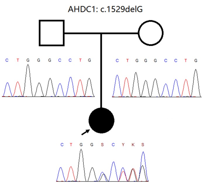 Figure2