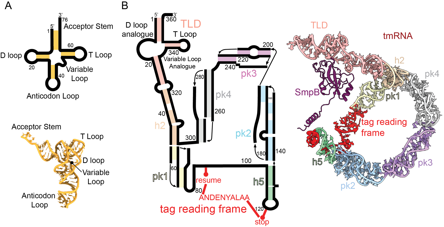 Figure 2.