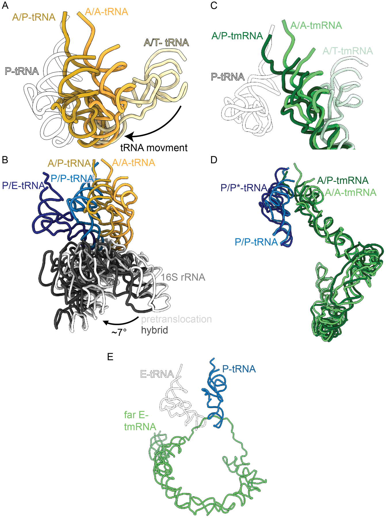 Figure 4.