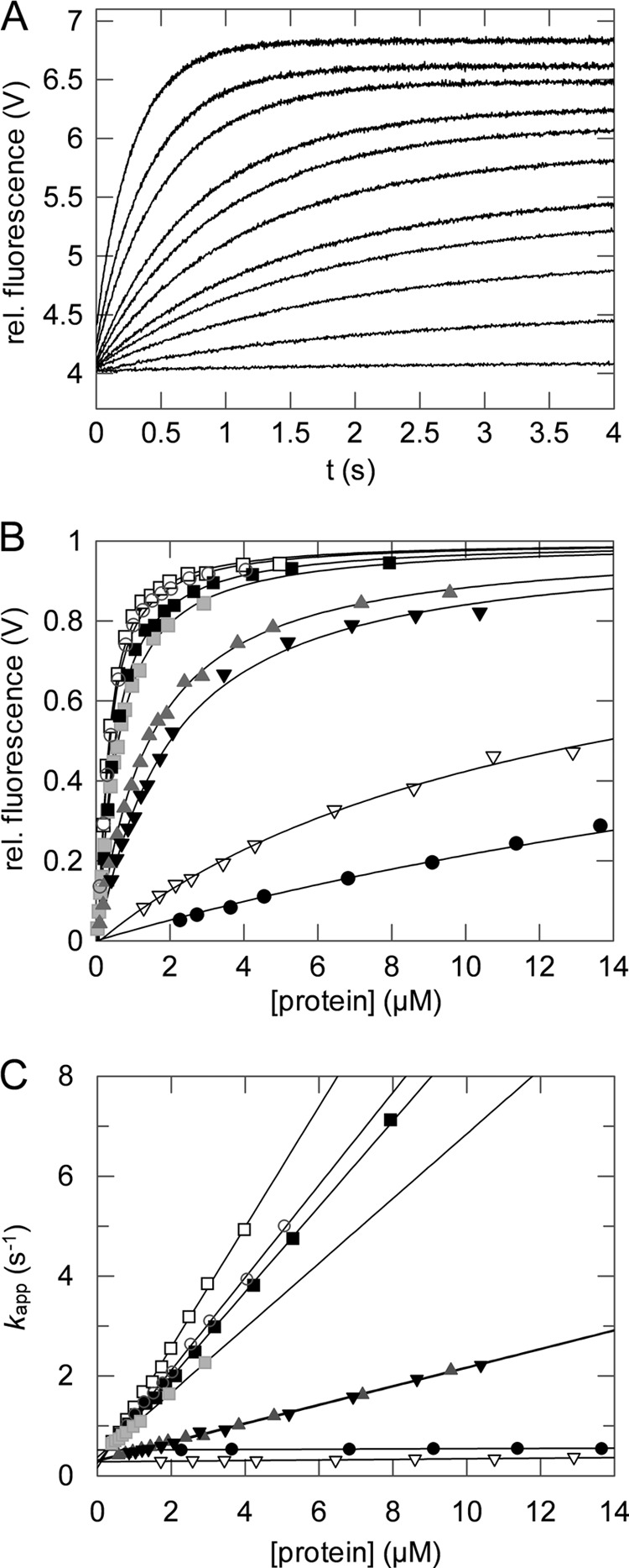 FIGURE 5.