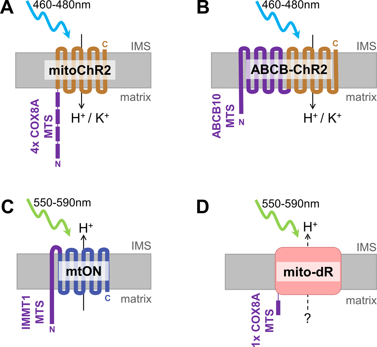 Figure 2.