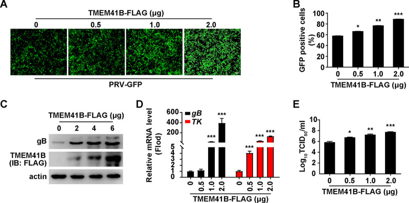 FIG 4