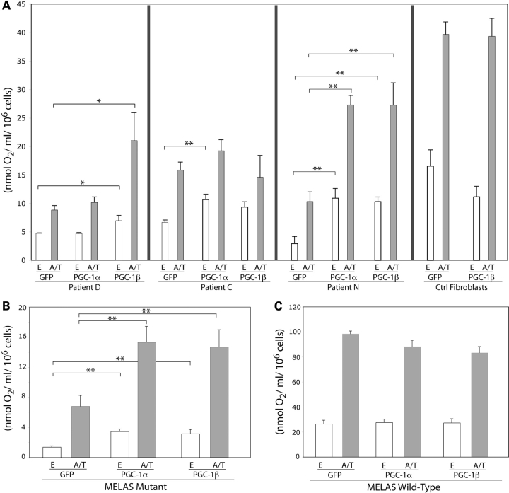 Figure 2.