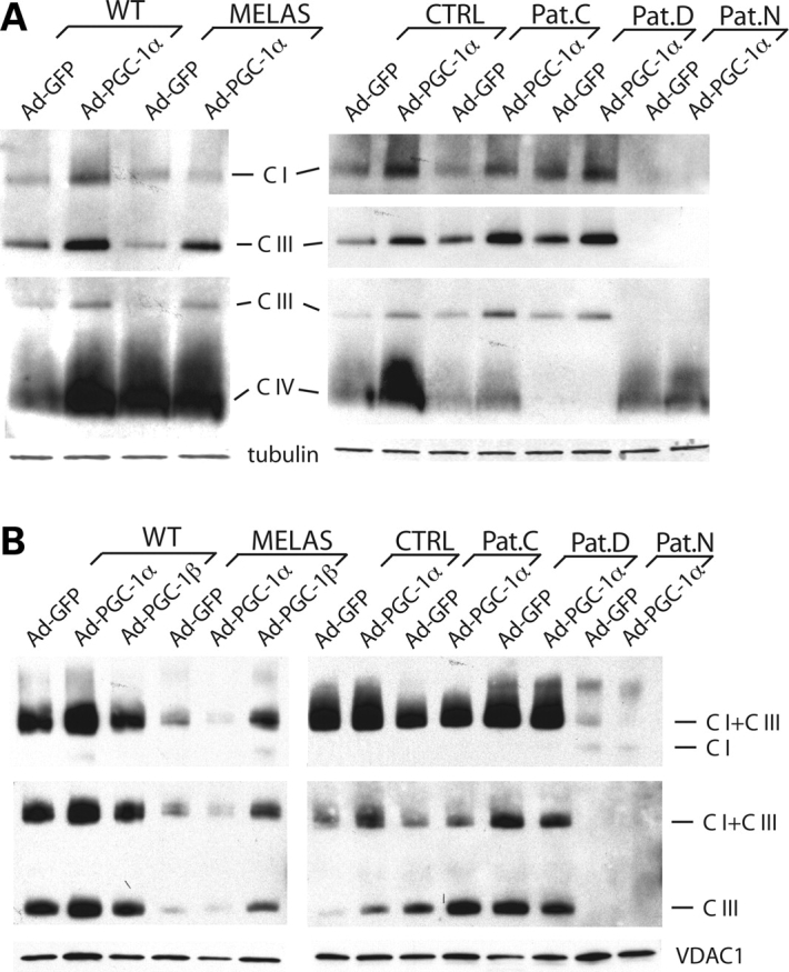 Figure 5.